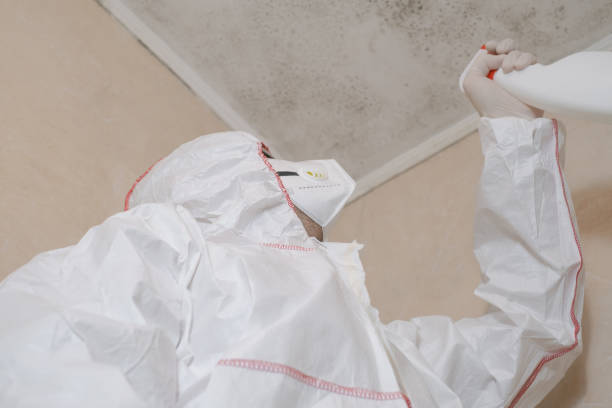 Best Attic Mold Removal  in Bemiss, GA